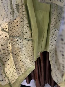 Elegant Ethnic Skirt