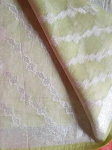 Elegant Light Green Sari with Silver Detail