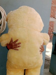 Very Big Huggable Soft Teddy Bear (5 Feet)