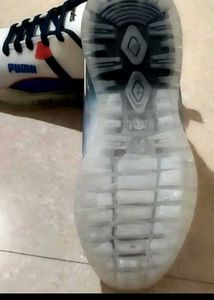 Men Shoe