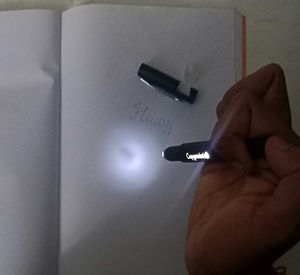 Capgemini Flashlight Pen