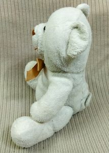 Very Cute White Bear