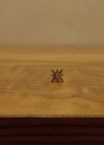 Set of 6 Nose Pins