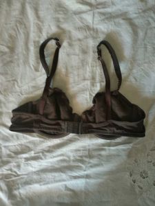 Beautiful Brown Under Wire Pushup Bra