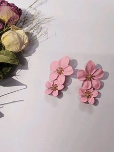 🩷Beautiful Korean Earring ✨