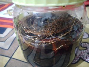 Hair Oil For Dandruff And Growth