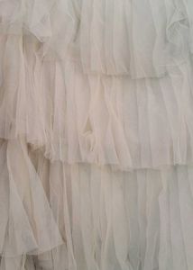 Beautiful Crop Top Choli