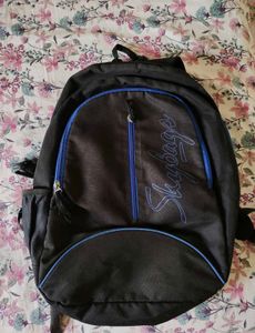 Skybags Backpack