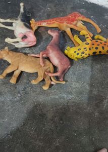 Animal Set Of 5 In One Pack