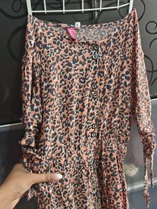Animal Print Dress
