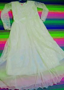 Elegant Ethnic Dress