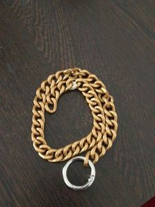Gold Chain Accessory