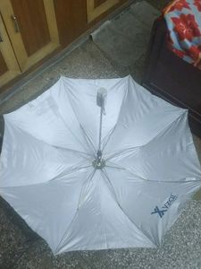 STAG UMBRELLA