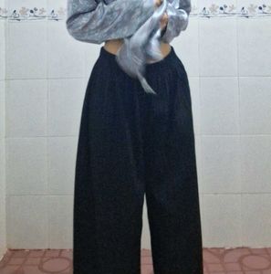 Palazzo pants