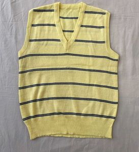 Striped Knit Vest