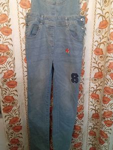 Denim Overalls