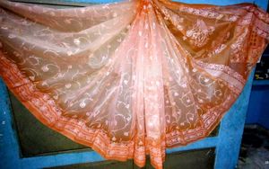 Elegant Peach Saree rubber print