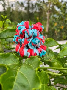 Georgette Scrunchies