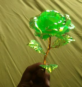 Fluorescent Green Rose With Golden Highlights.