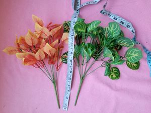 Leaf Set