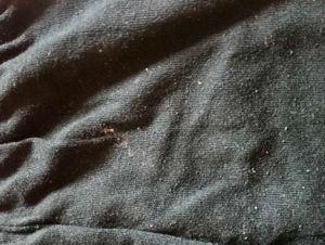 Kids Pink &amp; Black Tracksuit Set