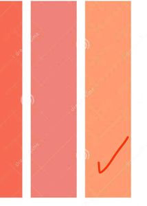 Fabindia Dark Peach Chooridar