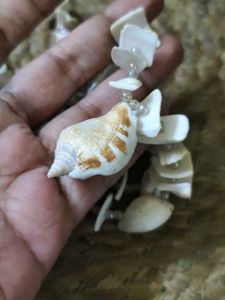 Seashell Statement Necklace