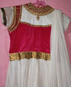 Pink Velvet &amp; Gold Embroidered Grown