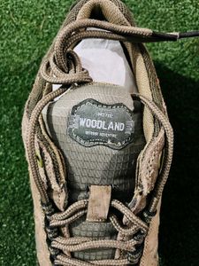 Brand new Woodland shoes