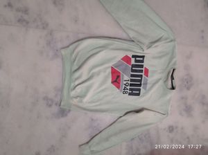 Sweatshirts Green Casual Wear