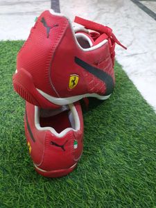 Puma Ferrari New Shoes