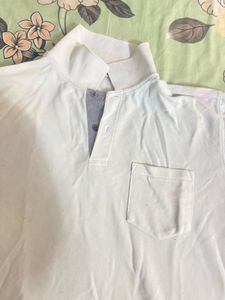 Free Size T Shirt