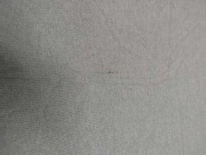 Men&#39;s Green T-Shirt