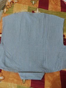 Striped Button-Down Shirt