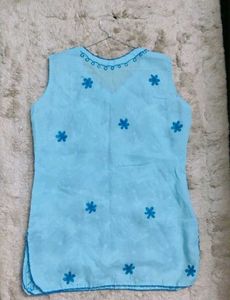 Blue Embroidered Top