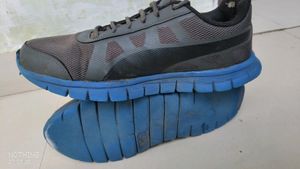 Sports Shoes