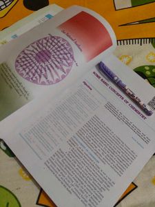 NCERT chemistry textbook for class XI partI and II