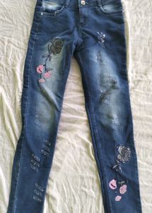 Embroidered & Distressed Skinny Jeans