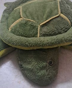 Turtle Plush Toy