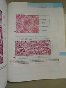 Textbook of Histology, 5th Edition