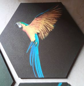 Wall Painting Frames