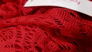 Red Lace Crop Top