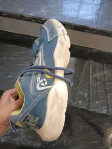 Campus Shooes