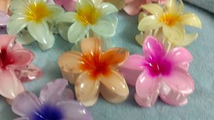 Floral Hair Claw Clips 6 Pc