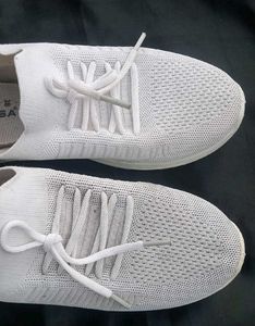 used white Sneakers