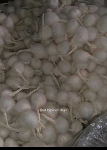Pooja Cotton Wicks