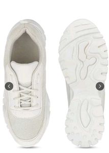 shoe