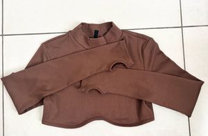 Brown Long Sleeve Crop Top