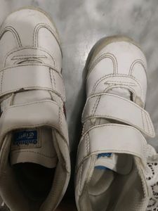 Tiger Branded Shoes For Kids
