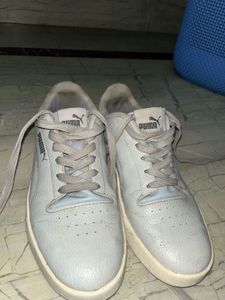 Puma Original Grey Sneaker